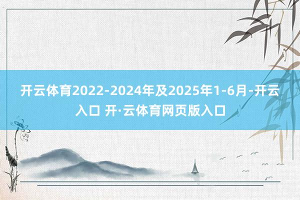开云体育2022-2024年及2025年1-6月-开云入口 开·云体育网页版入口